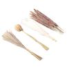 Natural Dried Pampas Grass Fluffy 15PCS White Pampas 15PCS Brown Pampas 50PCS Bunny Tail Grass