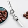 Stainless Steel Chestnut Peeler and Opener