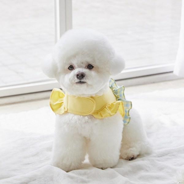 Benny's Pet Picnic Frill Harness, Purple