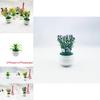 Artificial Succulent And Gypsophila Miniature Potted Plants For Home Decor And Gift Ideas