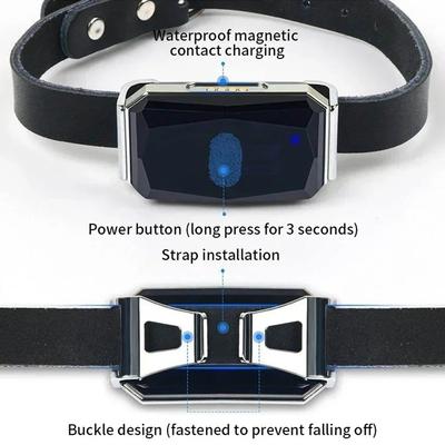 Wearable Pet Smart Tracker Remote Control Anti-Lost Pet Locator Collar Waterproof Multi-functional Cat and Dog Locator
