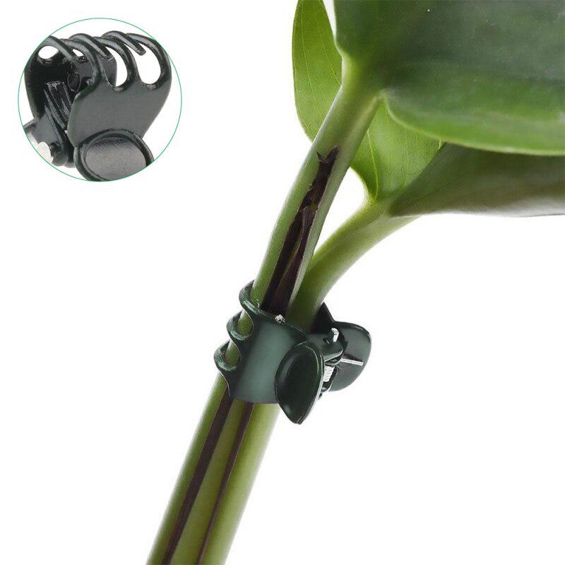 50PCS Plastic Plant Support Clips Orchid Stem Clip For Vine Support Vegetables Flower Tied Bundle Branch Clamping Garden Tools