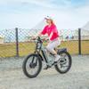 "SHENGMILO S600 E-Bike | 40° Climb | 45km/h | 90km Range | Hydraulic Brakes | 26" Fat Tires | IP45 Waterproof"