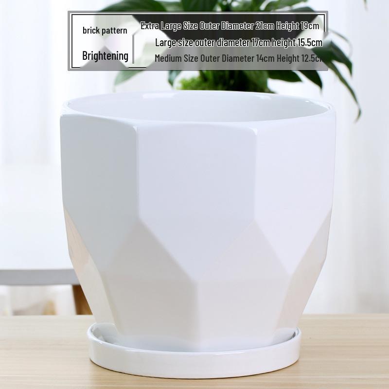 Simple White Ceramic Flower Pot with Base for Indoor Plants - Available in Large and Extra Large