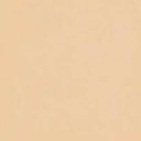 JUNG SAEM MOOL Skin Nude Foundation