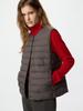 Uniqlo Gilet Compacto Pufftech