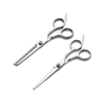Coco Vibe Hair Cutting and Thinning Scissors Set