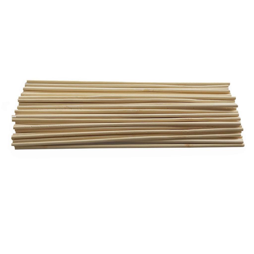 100 Plant Support Rods Gardening Tools Plant Support Rods 3mm * 20cm