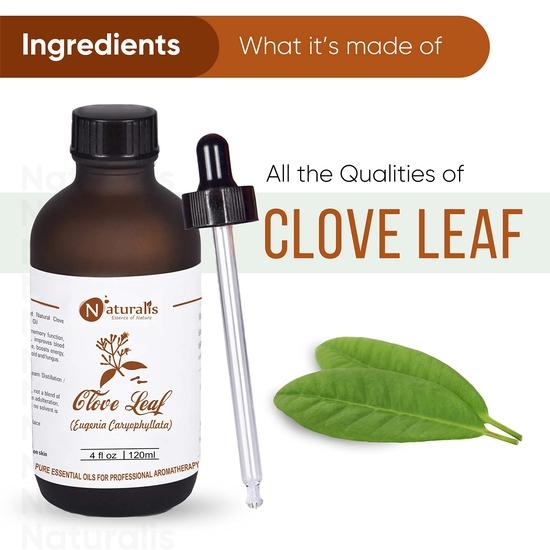 Naturalis Clove Oil for Teeth - Pure Essence of Clove Oil for Gum Care, Soothing Massage, Mehndi and Hair - Therapeutic Grade Essential Oil - 120ml