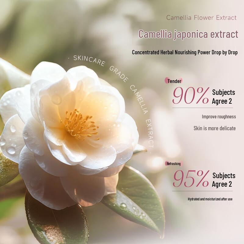 An'an Jinchun Camellia Amino Acid Shower Gel