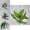 Alocasia Odora Faux Greenery With Realistic Texture For Hotel Lobby And Shopping Mall Decor