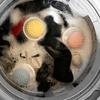 12Pcs Floating Hair Filtering Mesh Removal Catch Lint Washing Cleaning Laundry Dirty Collection Bag Cleaning Ball Filtering