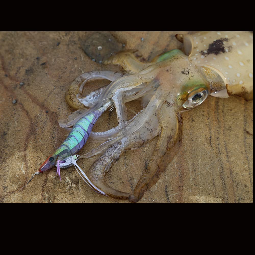 DUEL Ebi Q Size Deep Green for Squid Bigfin Reef and Eging YO-ZURI 3.5 6 Fishing, Squid,