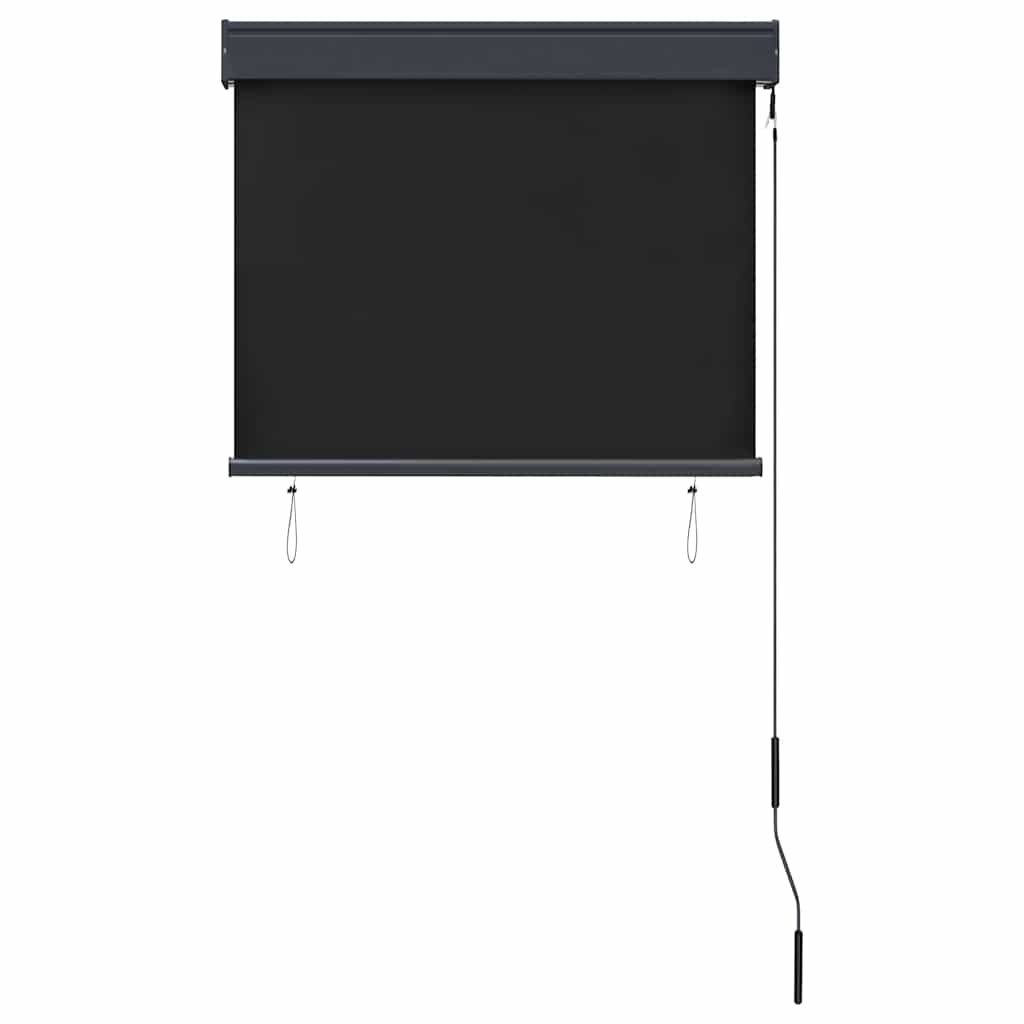Vidaxl External Roller Blind, 80X250 Cm, Anthracite