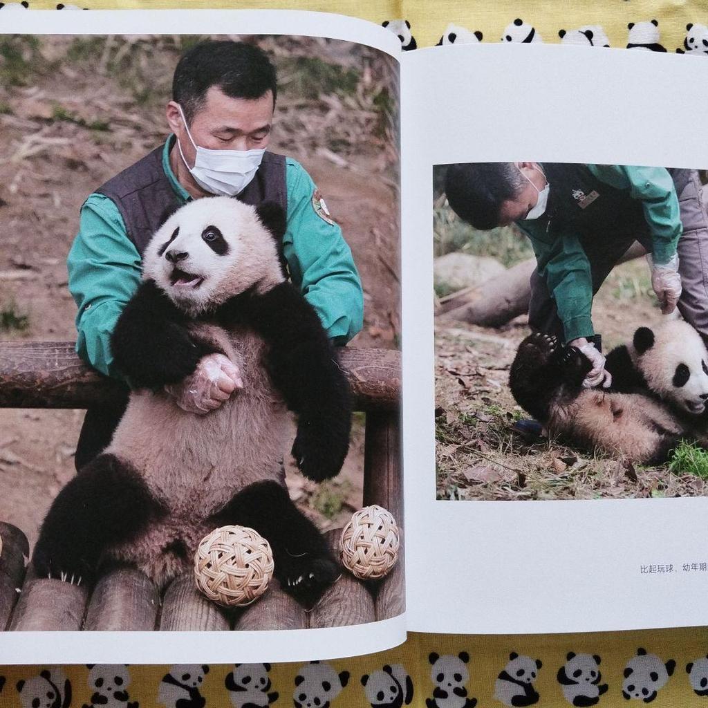 [USED] Rare item! Panda photo book "Fukuho: I Love You Forever" with bonus