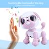 Robot Dog Pet Toy Smart Kids Interactive Walking Sound Puppy LED Record Educational Gift
