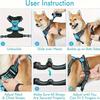 Harnais pour chien, respirant et réfléchissant, anti-traction, avec poignée, pour petits et grands chiens, accessoire de dressage et de promenade en extérieur