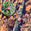 200FT Greenhouse Micro Drip Irrigation Kit with 1/2 Inch Hose 1/4 Inch Distribution Tubing Patio Misting Plant Watering System