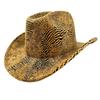 Retro American Western Cowboy Hat Men's and Women's Sunshade Sunscreen Big Eaves Jazz Hat European and American Versatile Top Hat