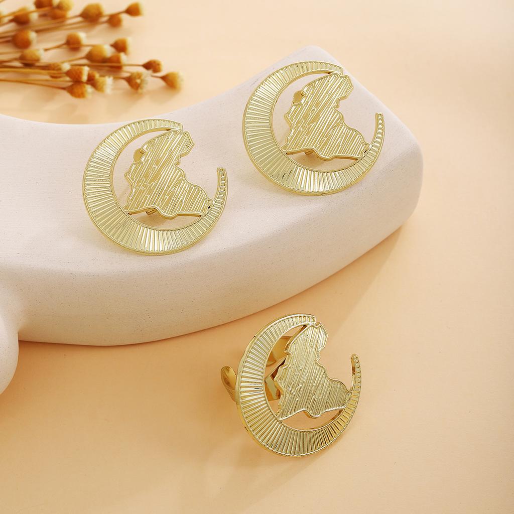 Flower Ring Personalized Earrings, Light Luxury Fashion High Sense Metal Style Simple Temperament Earrings