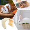 Animal Tunnel House Habitat Space Saving Decoration Animal Tunnel With Acrylic Door For Hedgehog Chinchilla Hamster Chewing