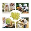 100PCS Queen Bee Rearing Cup Plastic Vivid Color Beekeeping Bee Cell Cup For Beekeeper Equipment Bees Tools