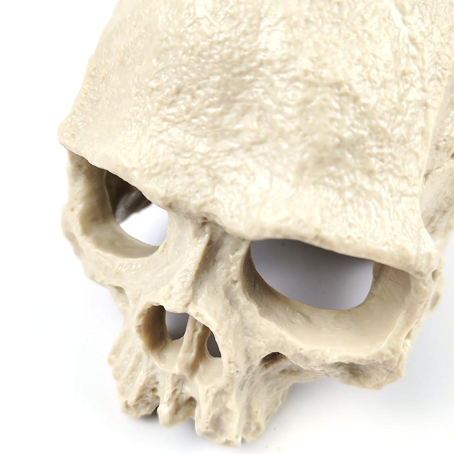 1 Sett Resin Skalle Akvariedekor – Fiske-, Reke- og Reptilavlsgrotte med Innebygd Boblestein for Oksygenering | Halloween Akvariepynt