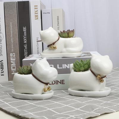 Pots de fleurs en porcelaine blanche avec plateaux en forme d'animaux – Élégants pots pour plantes succulentes et vertes, pour la maison et le bureau