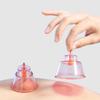 Smart Electric Cupping & Gua Sha Bianstone Massager CN plug (adapter included)