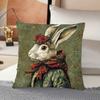Vintage Bohemian Albrecht Drer Rabbit, Single-Sided Print Pillowcase, Soft Polyester Fabric,
