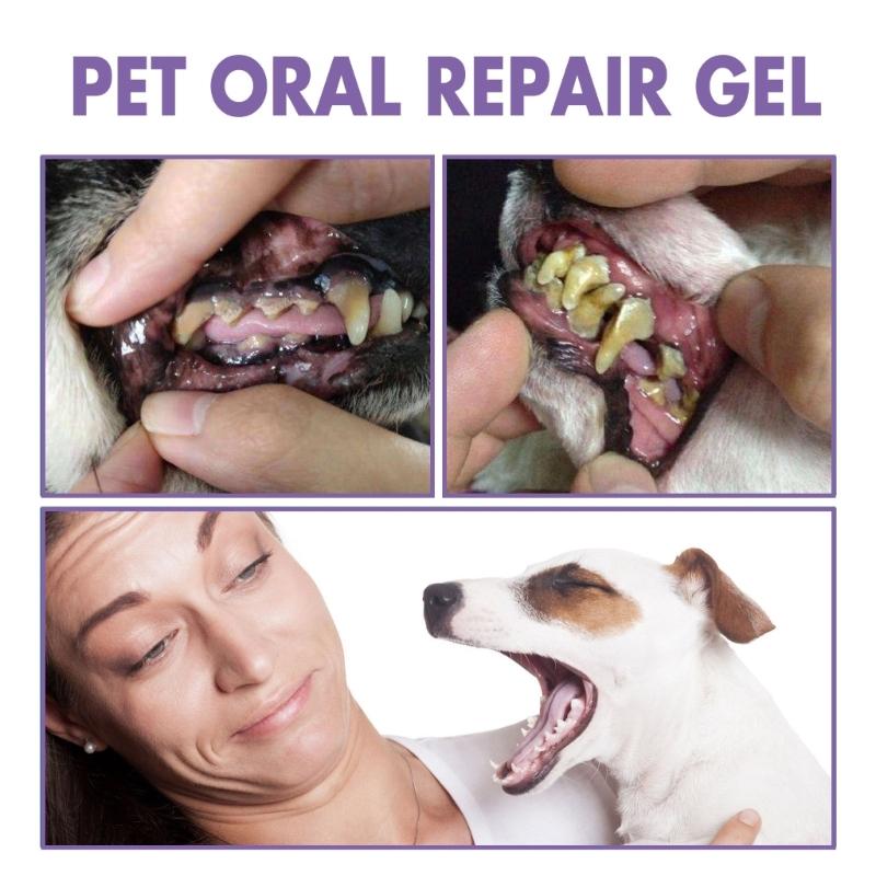 Profesionální gel Pet OralRepair pro hloubkové čištění zubů Psa Orální zdraví Opravný gel Jemné složení Zubní deodorizace