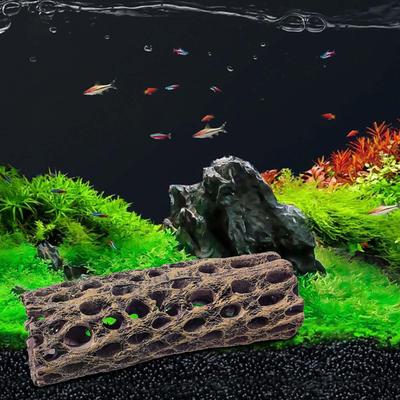 Peces y mascotas acuáticas – Decoración de peceras