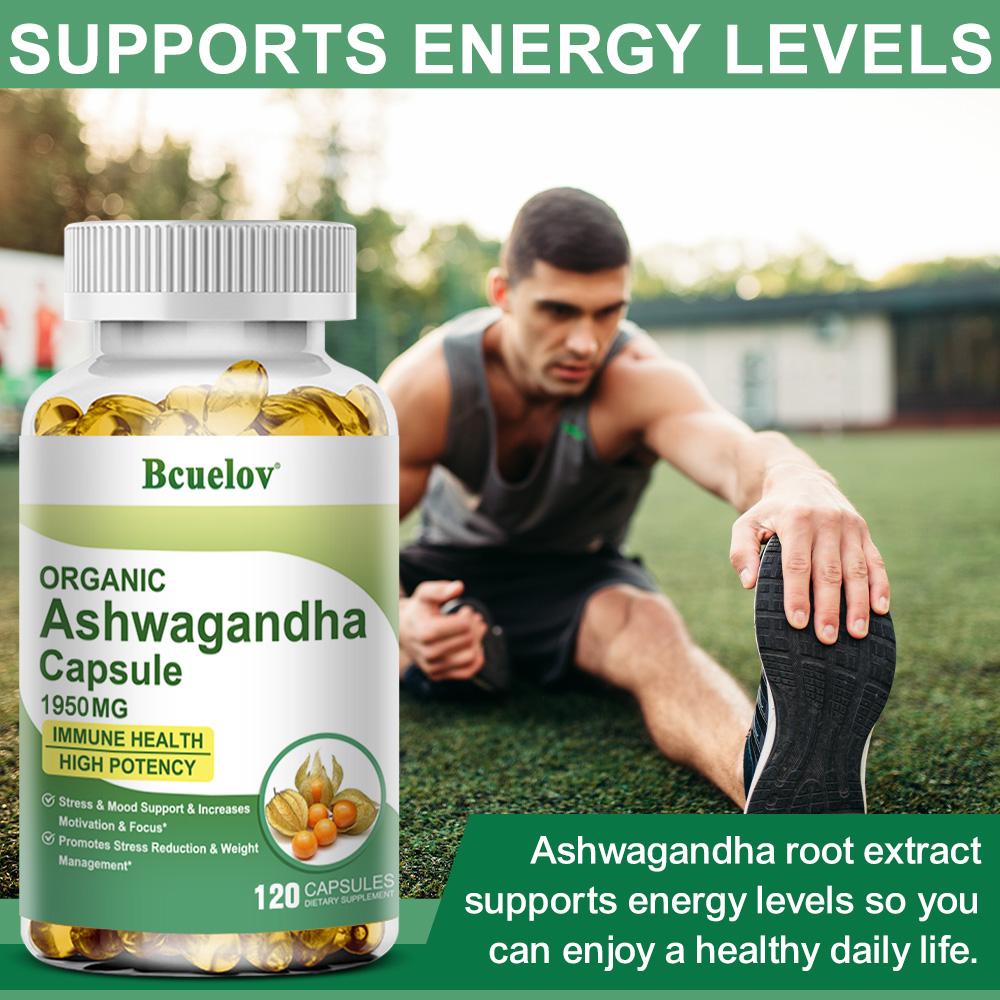 Bio Ashwagandha Kapseln 1950mg - Hochdosierte Formel - 120 Kapseln