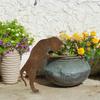 Rustic Rusty Metal Cat Garden Statue | Classic Outdoor Yard Decor | Durable Freestanding Lawn Ornament | Earth-Tone Finish