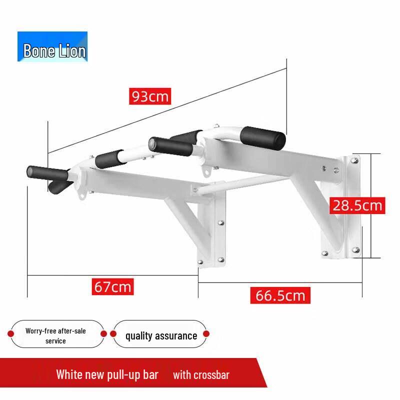 Wall-Mounted Pull-Up and Dip Bar