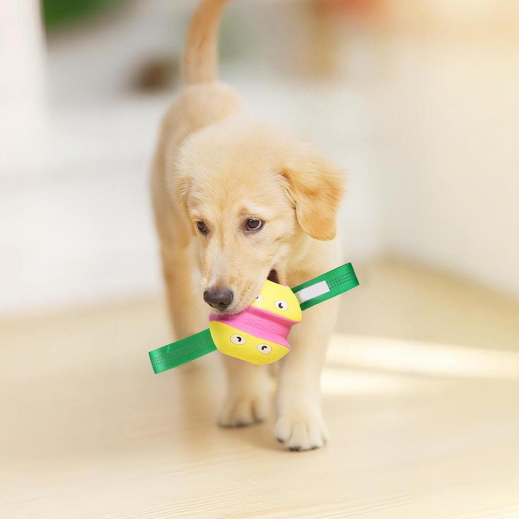 Ball Toys For Dogs Bite-Resistant Teether Puppy Ball For Puppy Small Medium Large Breed Boredom Self-Entertainment Outdoor Park