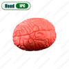 1-5PCS Halloween Horror Simulation Human Limbs Props Fake Hands Feet Brain Heart Haunted House Party Decoration Accessories