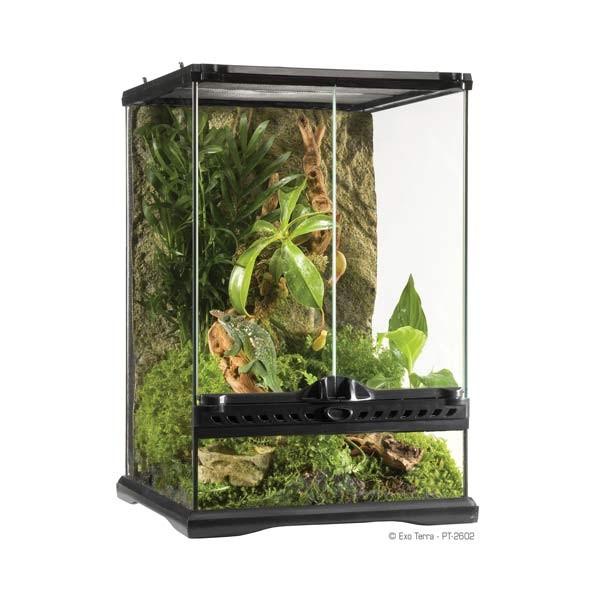 Terrario Exo Terra mini/alto, 40,5 l, 30x30x45 cm