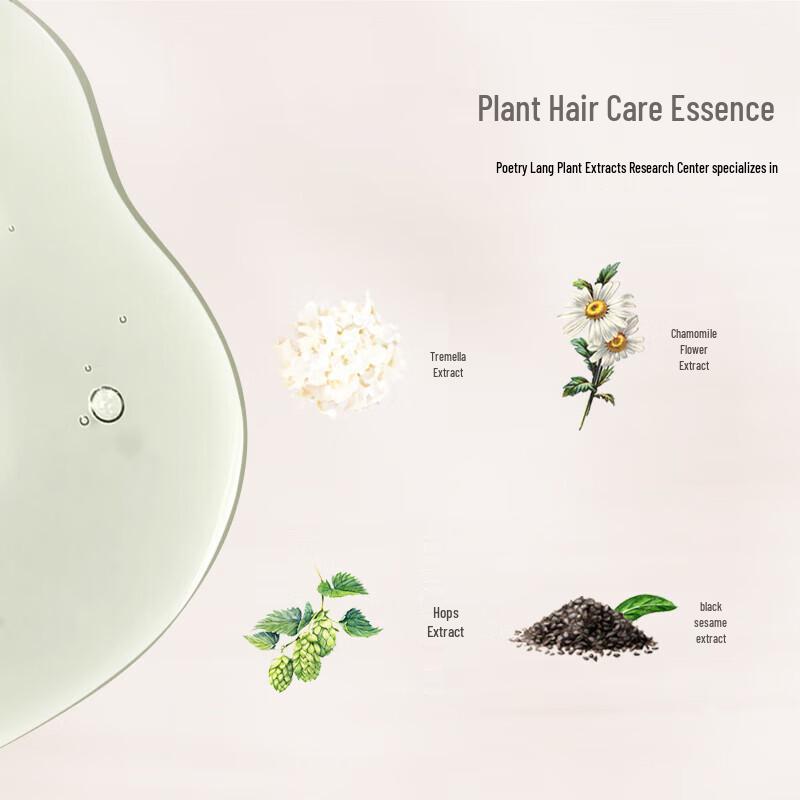 Shilang Camellia Seed Oil Control & Volumizing Shampoo