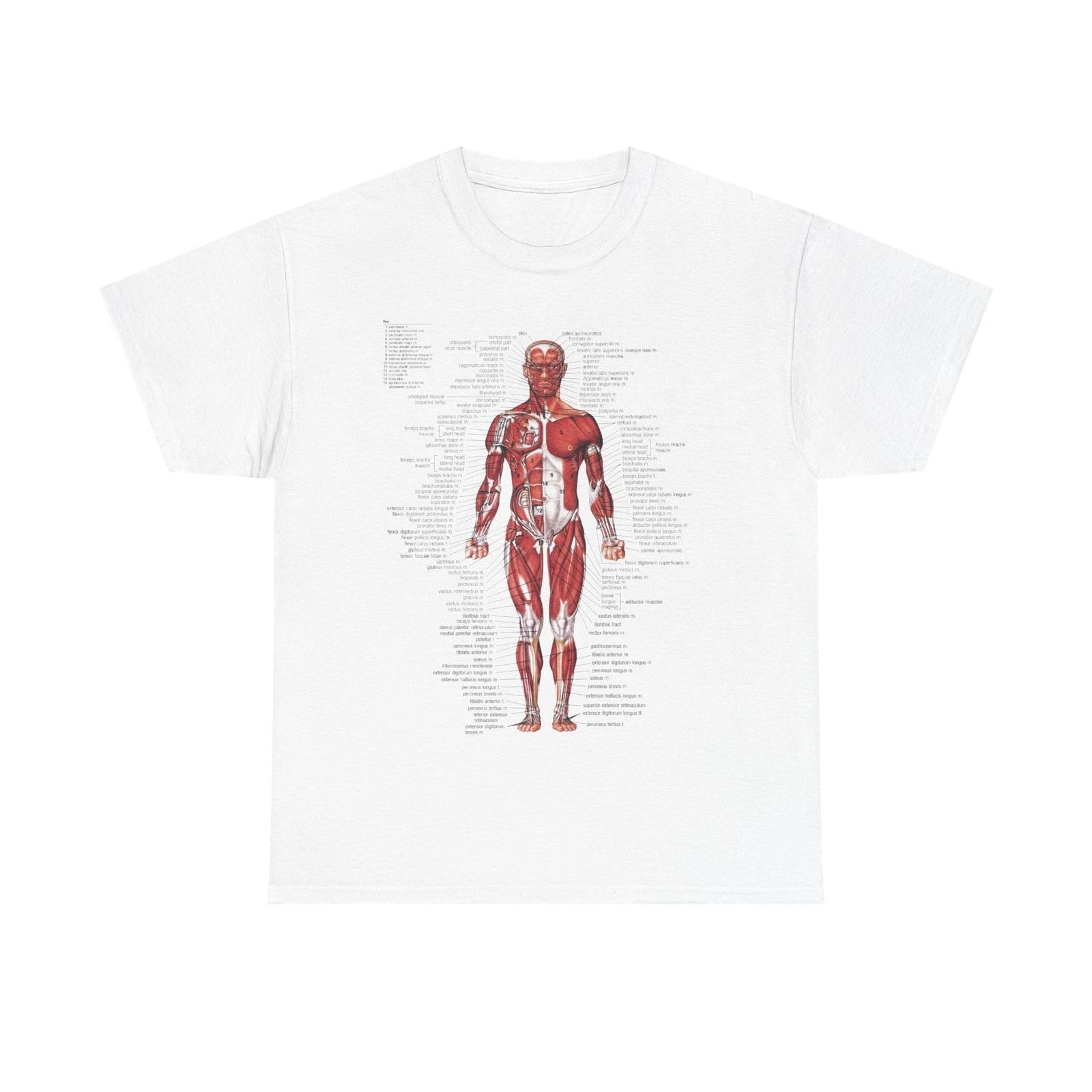 Anatomical Chart The Muscular System Full Body Kurt Cobain Inspired, Tee-Tshirt XL
