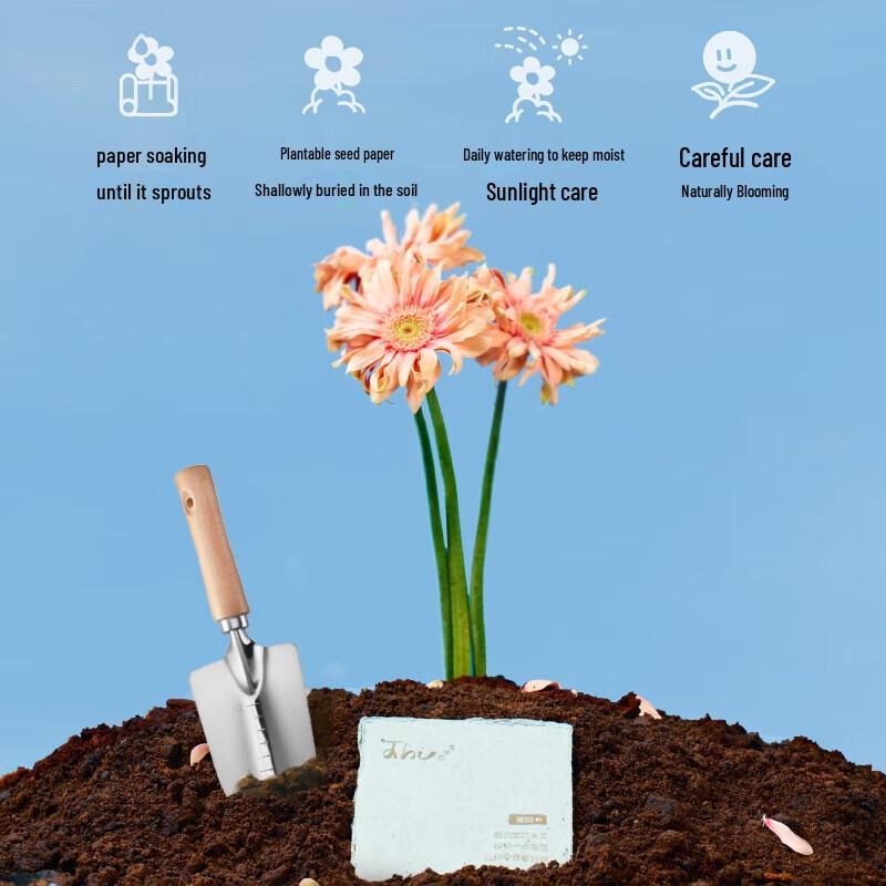 Mao Wang Little Prince OTR FM/Bluetooth Portable Speaker - Qixi Limited Edition CN plug (adapter included)
