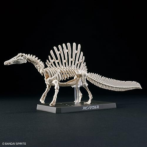 BANDAI SPIRITS Planosaurus Spinosaurus color-coded plastic model