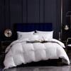 Polo Paul Premium White Goose Down Comforter