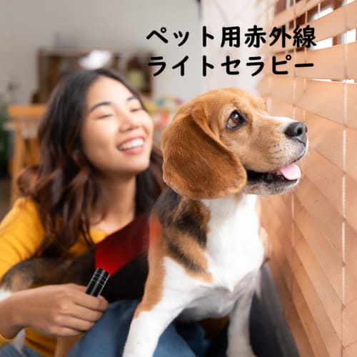 Heathredy Red Light Flashlight, Portable Near-Infrared Flashlight, Rechargeable Infrared Light with Built-in 1000mAh Battery, Small Handheld Red Light