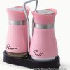Stainless Steel Glass Seasoning Shaker Set