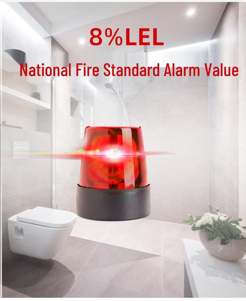 Carbon Monoxide Alarm with LCD Display - Home Gas Detector