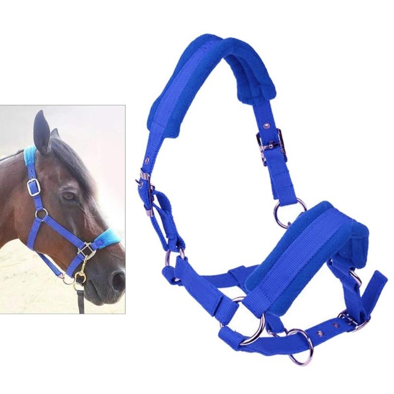 Durability Metal Eye Hook Horse Headgear For Secure Cycling And Training With Rustproofed Stable Bridle Hardware