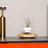 YIXI Magnetic Levitation Plant Pot