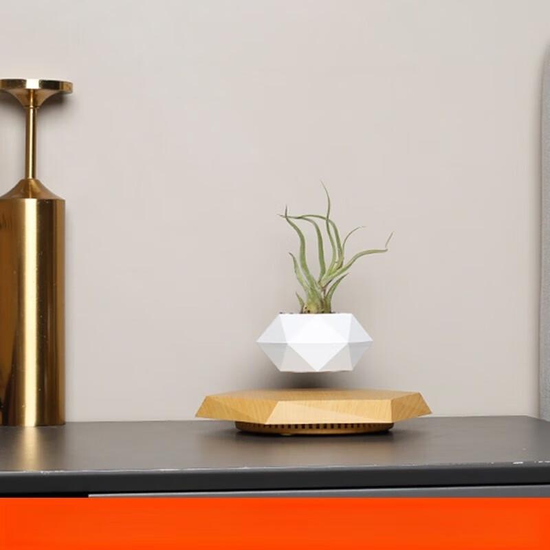 YIXI Magnetic Levitation Plant Pot
