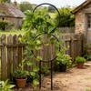 Trellis For Climbing Plants Outdoor Weather Resistant Adjustable Metal Stake Metal Plant Trellis For Indoor Outdoor Home Wedding